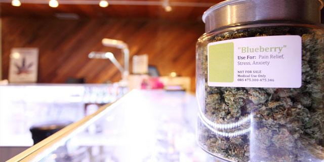 Cannabis Dispensary Business Insurance